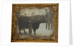 Four Men Posed with a Bull by Anonymous