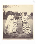 Group of Betsimisaraka women by Désiré Charnay