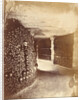 View in the Catacombs by Nadar [Gaspard Félix Tournachon]