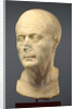 Portrait Head of an Old Man by Anonymous