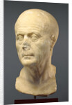 Portrait Head of an Old Man by Anonymous