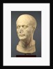 Portrait Head of an Old Man by Anonymous