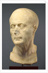 Portrait Head of an Old Man by Anonymous