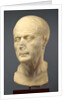 Portrait Head of an Old Man by Anonymous