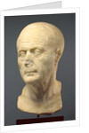 Portrait Head of an Old Man by Anonymous