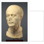 Portrait Head of an Old Man by Anonymous