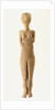Female Figure of the Early Spedos Type by Anonymous