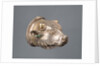 Bull's Head Cup with separable liner by Anonymous