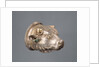 Bull's Head Cup with separable liner by Anonymous