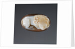 Cameo Gem by Anonymous