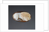 Cameo Gem by Anonymous