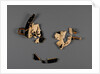 Attic White-Ground Cup (Lipped Inside) Fragment with Dionysos and a Satyr and One Black-Gloss Cup Fragment (rim) by Onesimos