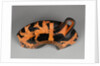 Attic Red-Figure Cup Type B Fragment by Proto-Panaitian Group