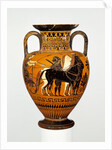 Attic Black-Figure Neck-Amphora by Bareiss Painter