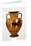 Attic Black-Figure Neck-Amphora by Bareiss Painter