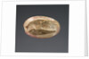 Cameo Gem by Anonymous