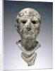 Bust of a Man by Anonymous
