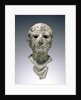 Bust of a Man by Anonymous
