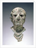 Bust of a Man by Anonymous
