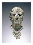 Bust of a Man by Anonymous