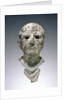 Bust of a Man by Anonymous