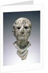 Bust of a Man by Anonymous