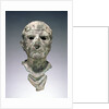 Bust of a Man by Anonymous