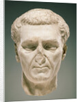 Portrait Head of Nerva by Anonymous