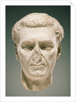 Portrait Head of Nerva by Anonymous