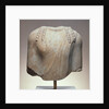Torso of a Kouros by Anonymous
