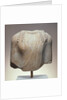 Torso of a Kouros by Anonymous