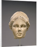 Head of Athena by Anonymous