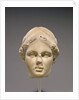 Head of Athena by Anonymous