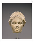 Head of Athena by Anonymous