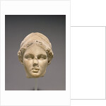Head of Athena by Anonymous