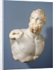 Bust of a Pugilist and detached fragments (2) by Anonymous