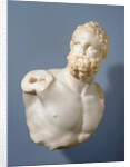 Bust of a Pugilist and detached fragments (2) by Anonymous
