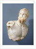 Bust of a Pugilist and detached fragments (2) by Anonymous