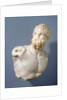 Bust of a Pugilist and detached fragments (2) by Anonymous
