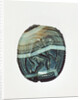 Scarab by Anonymous