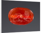 Engraved Scarab by Anonymous