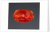 Engraved Scarab by Anonymous