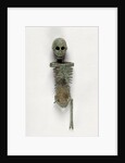 Miniature Skeleton by Anonymous