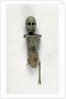 Miniature Skeleton by Anonymous