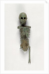 Miniature Skeleton by Anonymous