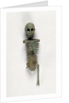 Miniature Skeleton by Anonymous