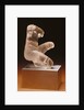 Statuette of Venus by Anonymous