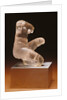 Statuette of Venus by Anonymous