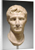Portrait Head of Augustus by Anonymous
