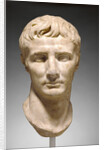 Portrait Head of Augustus by Anonymous